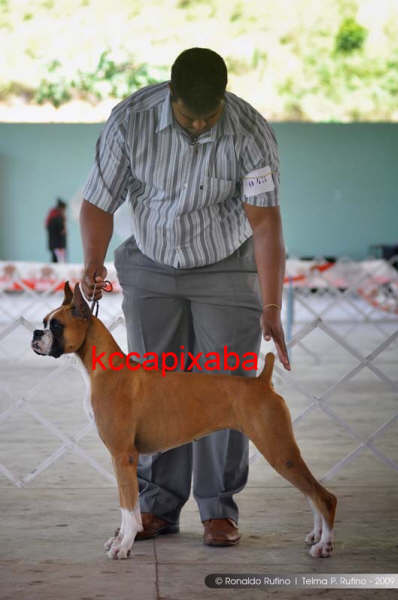 Clique sobre a foto para fechar